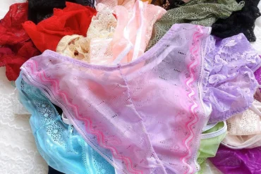 Women Sexy Lace Panties Low-waist Underwear Thong Female G String Breathable Lingerie Temptation Embroidery Intimates