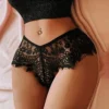 Women's Sexy Lace See Through Briefs Women Secret Clothes Thin Lingerie Women's Panties High Rise Knickers Brazilian Underwear