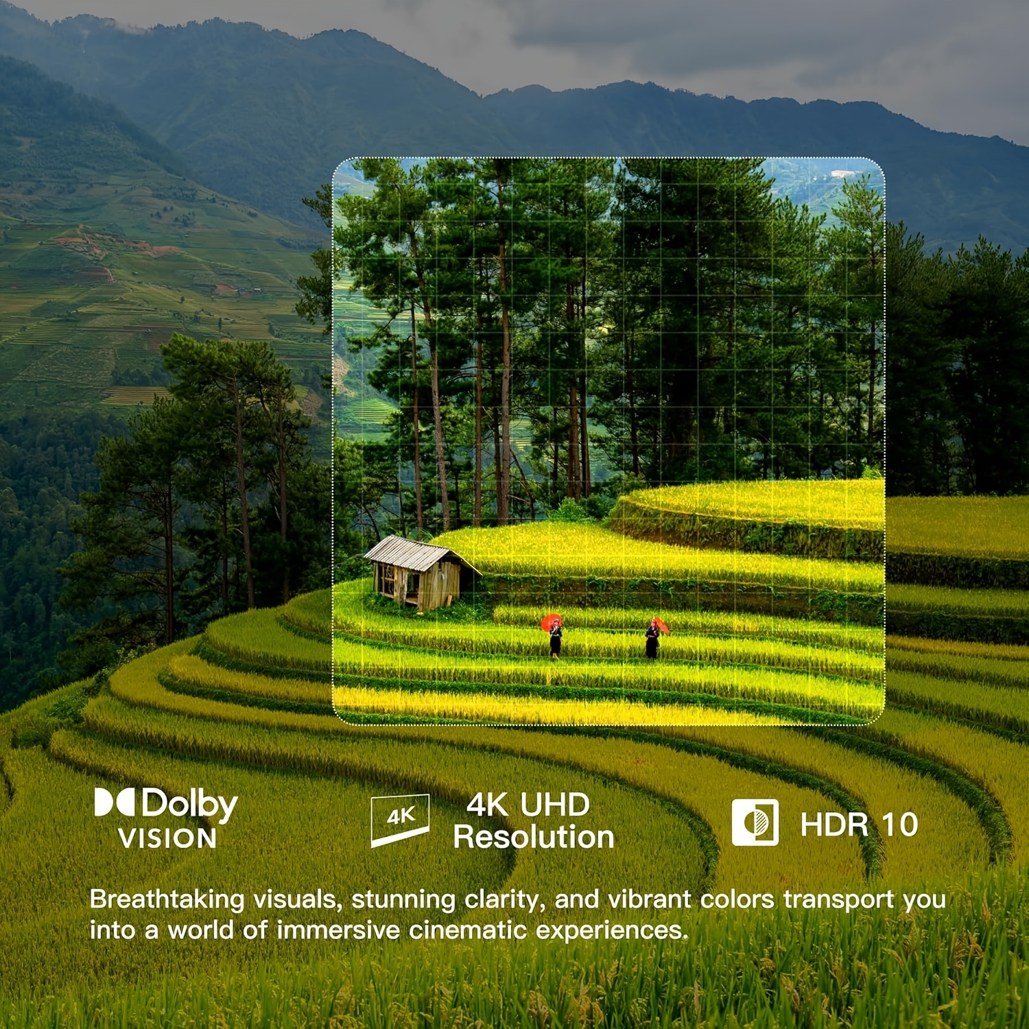 55-Inch Google TV Smart TV with 4K UHD, HDR, Vision & Atmos, MEMC, Built-In Google Play Store, Voice Remote Compatible for /YouTube/Torrent Sites Blocking - LED TVs Suitable for Google TV OS - Image 6